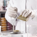 Protein Ingredients Research & Successes