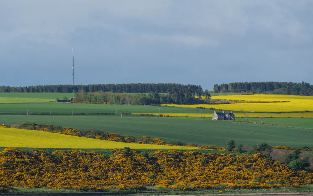 Denmark’s Innovative Efforts Encourage Plant-Based Eating